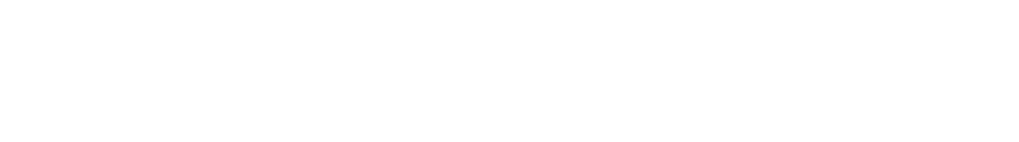 Logo_Transvalor_2024_white